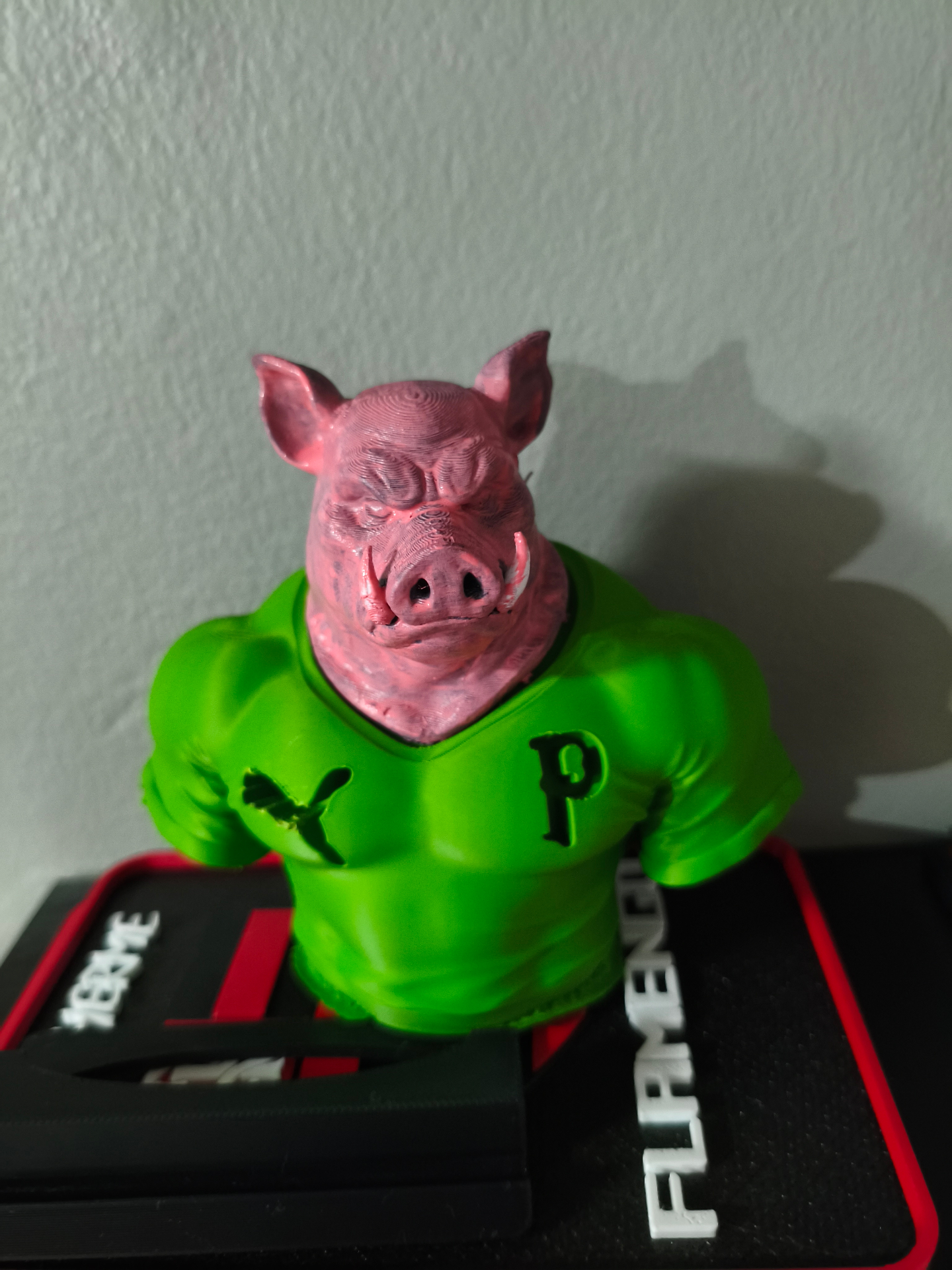 Mascote do Palmeiras finalizado